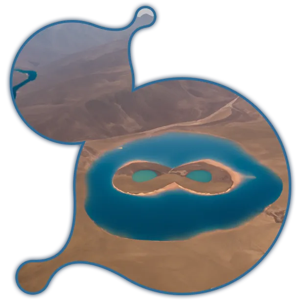 expert moodle development services