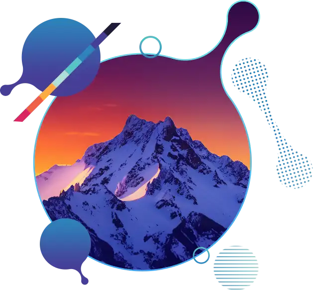 moodle exper development and eLearning developer services